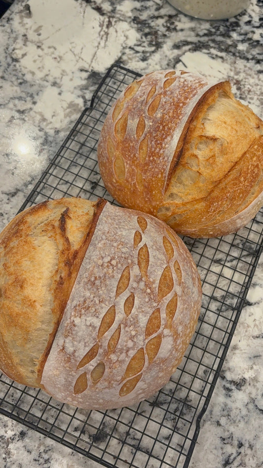 Plain Sourdough Loaf